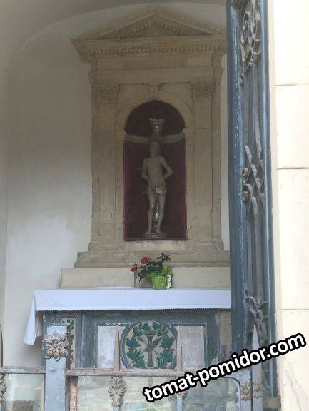 IMG_5486с.JPG