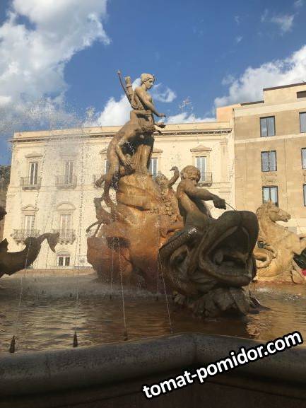 IMG_5530с.JPG