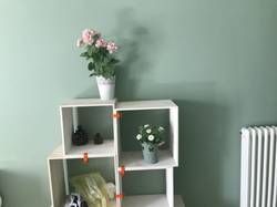 IMG_5373с.JPG