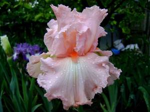 Happenstance 0143.jpg