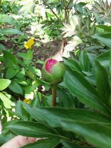 20200510_171723.jpg