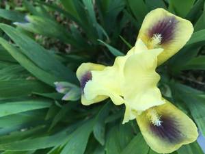 31D09283-7292-47CF-8C00-558A14DB982B.jpeg
