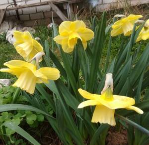 IMG_20200505_091654.jpg