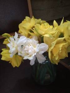 IMG_20200514_130325.jpg