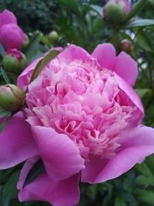 IMG_20200528_200839.thumb.jpg.ea94552b347d4304b374ea904fa19c7d.jpg