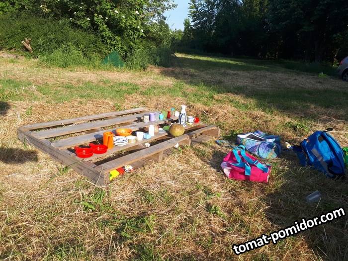 yulin_picnic.jpg