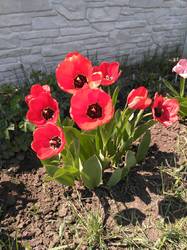 IMG_20200501_121146