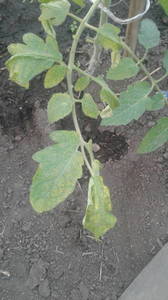 20200624_200313.jpg