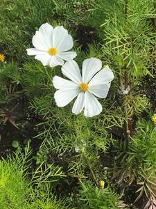 39278AE6-1C77-4C1C-8F76-537C44596BEE.jpeg