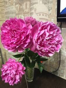 5B0E1FD8-BEAC-4ADF-93B8-12AF5491501A.jpeg