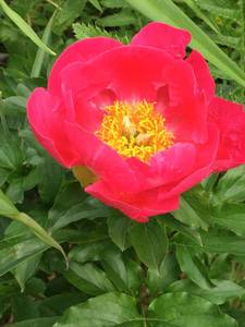 FCF289CC-937B-4766-97CB-AD2F86EC5E70.jpeg