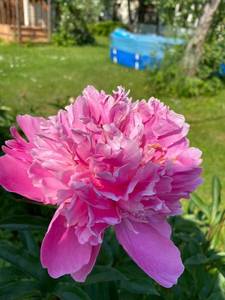 FE005320-5F93-46F2-AB36-AE8B540BA7C9.jpeg