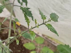 IMG_1555.JPG