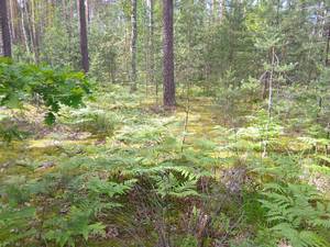 IMG_20200102_174507.jpg