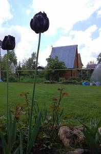 IMG_20200607_174742.jpg