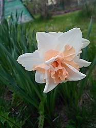 IMG_20200516_082143