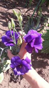 0_IMG-20200708-WA0003.thumb.jpeg.abd5db96ee724d06eb83ddbdc6e7457e.jpeg
