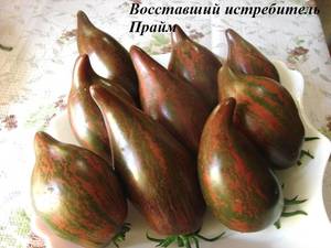 Восставший истребитель с носиком (2).JPG