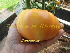 Деревенские (2).JPG
