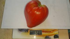 278803736_2.thumb.jpg.bf51cefbd9c47c7e33a376f40471faab.jpg