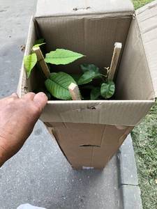 ПОСЫЛКА 2.jpg