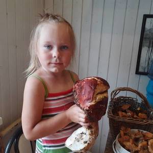 Катюша с боровиками.jpg