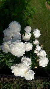 IMG-20200701-WA0003.jpg