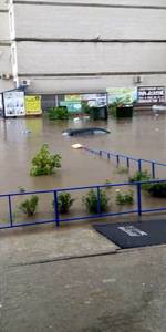 IMG-20200717-WA0010.thumb.jpg.614128ef8e419f7d5bf9a6e5061acfda.jpg