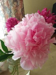 IMG_20200705_181452.jpg