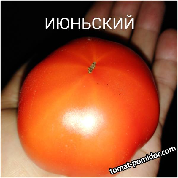1594368274540.jpg