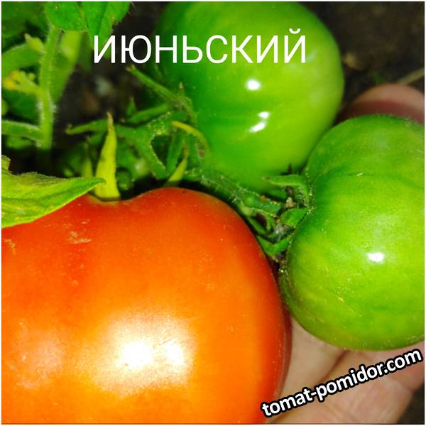 1594368307437.jpg