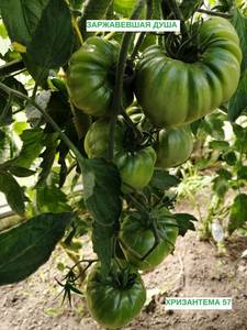 Заржавевшая душа.jpg