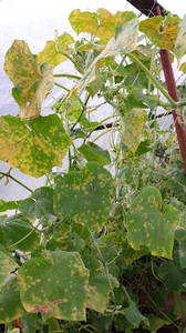 20200816_153449.jpg
