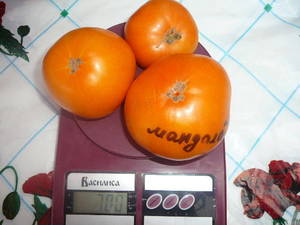 808139209_10004.thumb.JPG.3fa5d2cbf742468fcbab2ae726e484e5.JPG