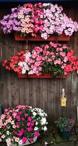 IMG_20200720_212112.jpg