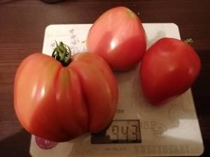 IMG_20200809_220025.jpg