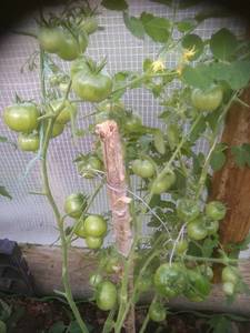 IMG_20200822_183622.jpg