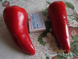 IMG_5928.thumb.JPG.bf423ef7576b2bd16cdfb5ce39d7bc2d.JPG
