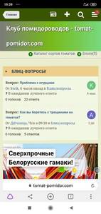 Screenshot_2020-08-09-19-39-30-191_com.yandex.browser.jpg