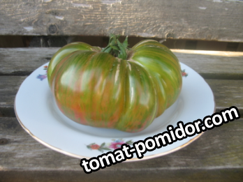 Ananas zebra_photo-resizer.ru.JPG