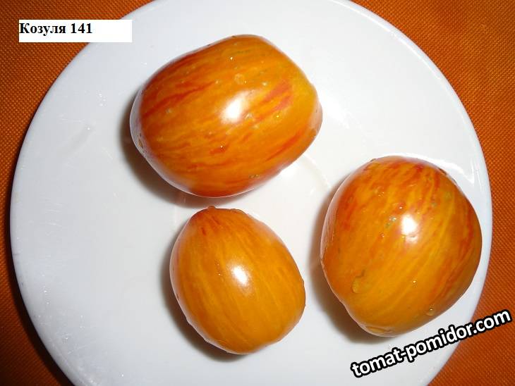 Козуля 141_20.08_.jpg