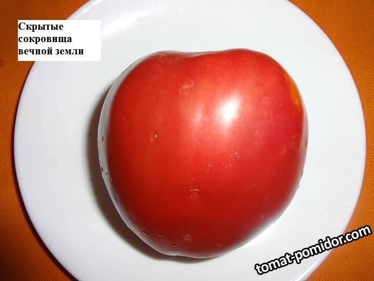 Скрытые сокровища вечной земли (С) 26.08_.jpg