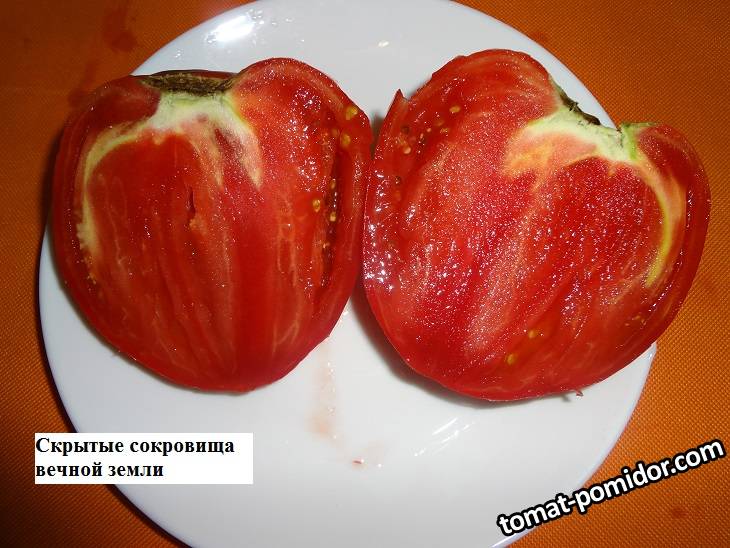 Скрытые сокровища вечной земли (С)26.08 разрез_.jpg