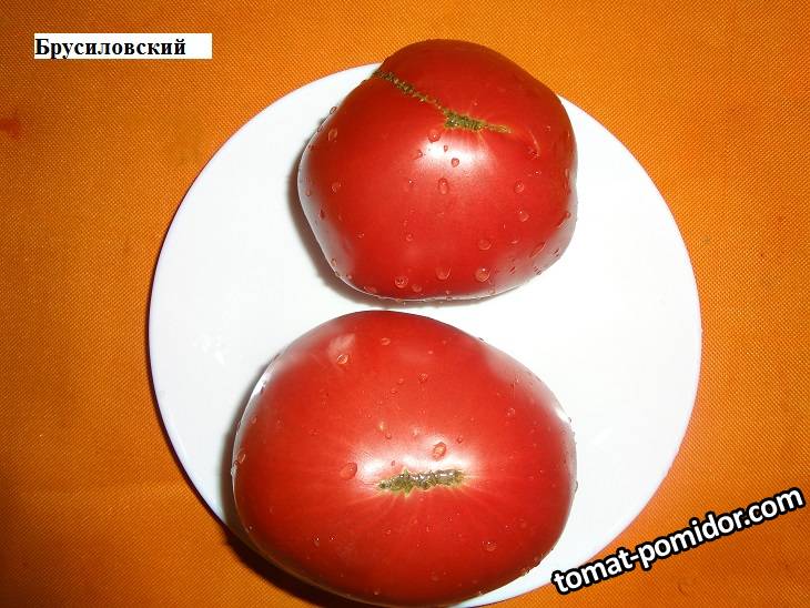 Брусиловский 27.08_.jpg
