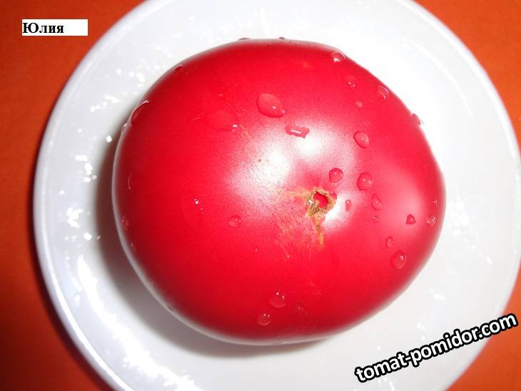 Юлия 22.08_.jpg
