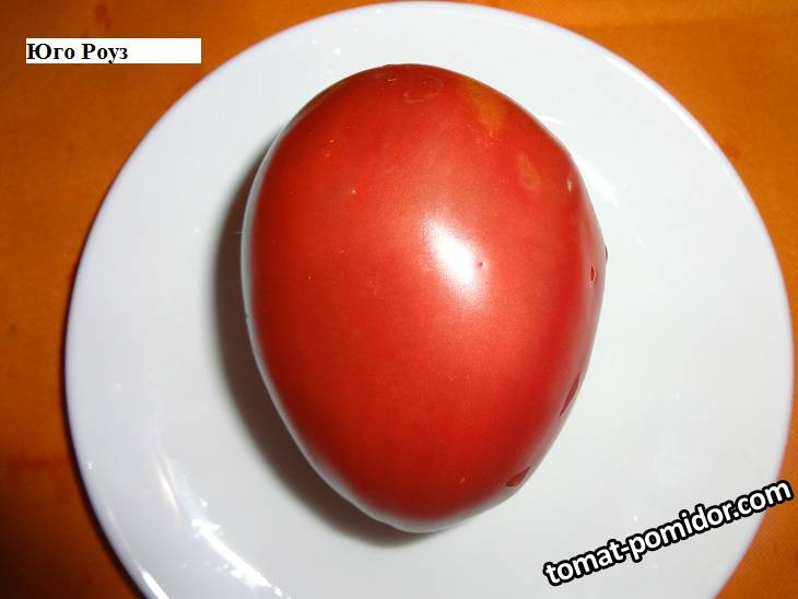 Юго Роуз 26.08_.jpg