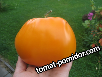 БУФ (3)_photo-resizer.ru.JPG
