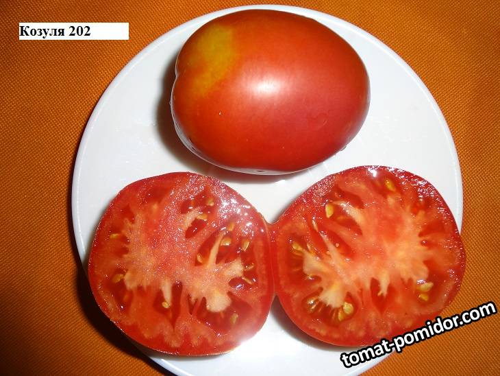 Козуля 202_20.08 разрез_.jpg