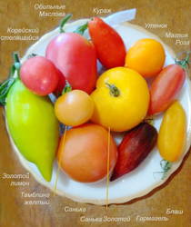 Тарелка с разными сортами помидоров. IMG_20200818_185249.2