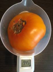 Король ананас(Королевский ананас) : почти 1 кг.JPG